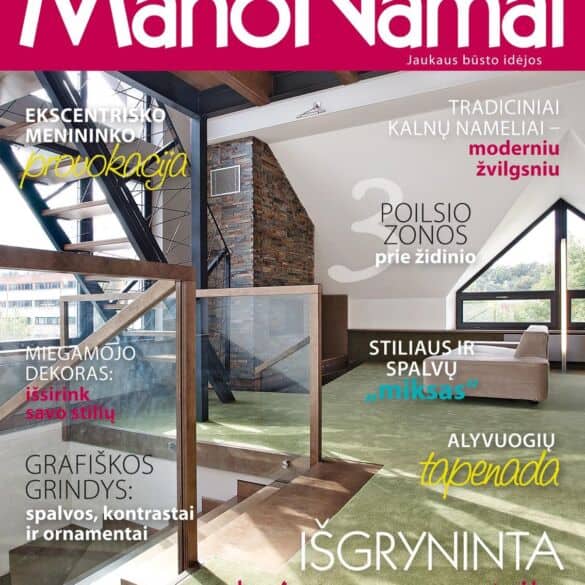 Vasario mėnesio žurnale MANO NAMAI – žiemiškos temos