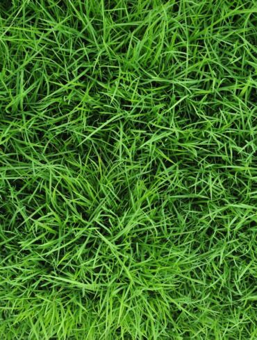 Vasaros pėdsakai ant drabužių – kaip išvalyti žolės dėmes
