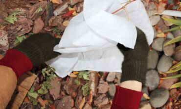 Žiema artėja: kuo uždengti augalus?
