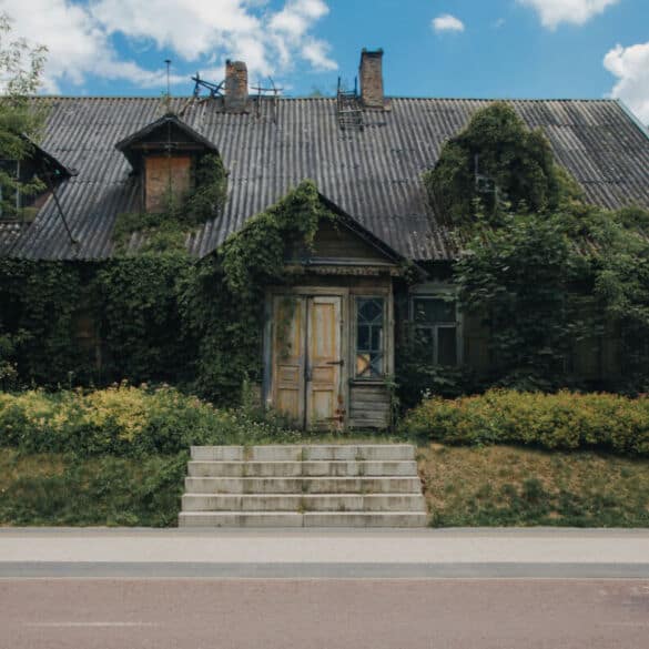 Vilniaus miesto rajonas – Šnipiškės
