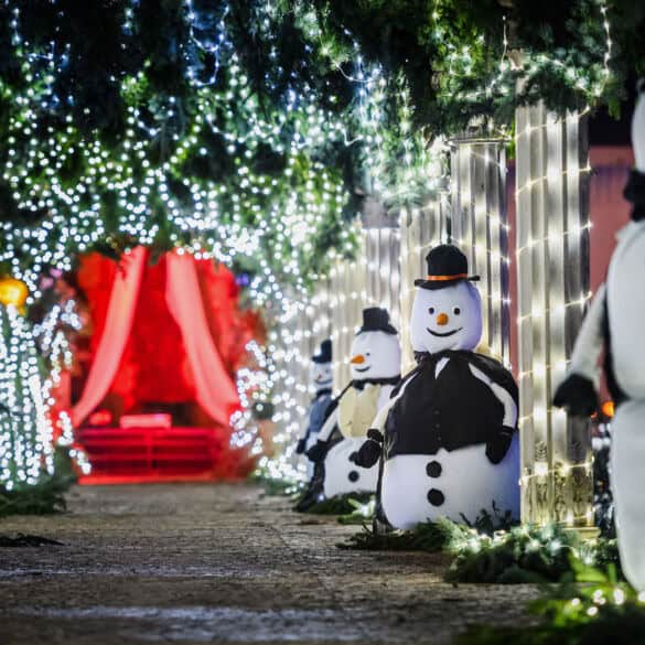 Kalėdų festivalis Pakruojyje
