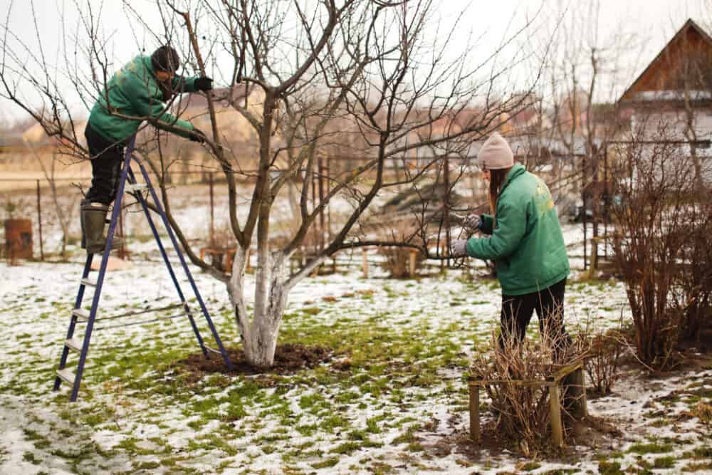 Darbai sode, kai žiema šilta / Shutterstock