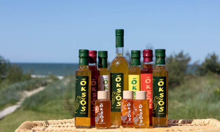 Obuolių sidro actas