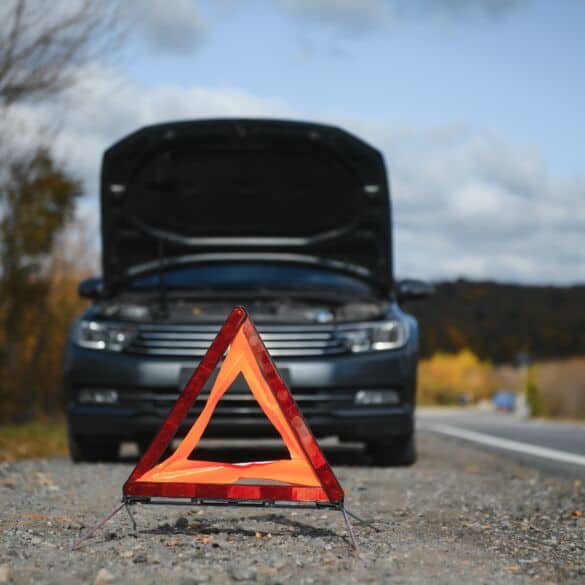 Automobilis / Shutterstock