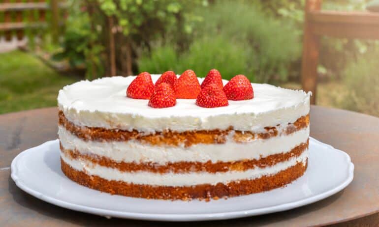 Jogurtinis tortas / Shutterstock