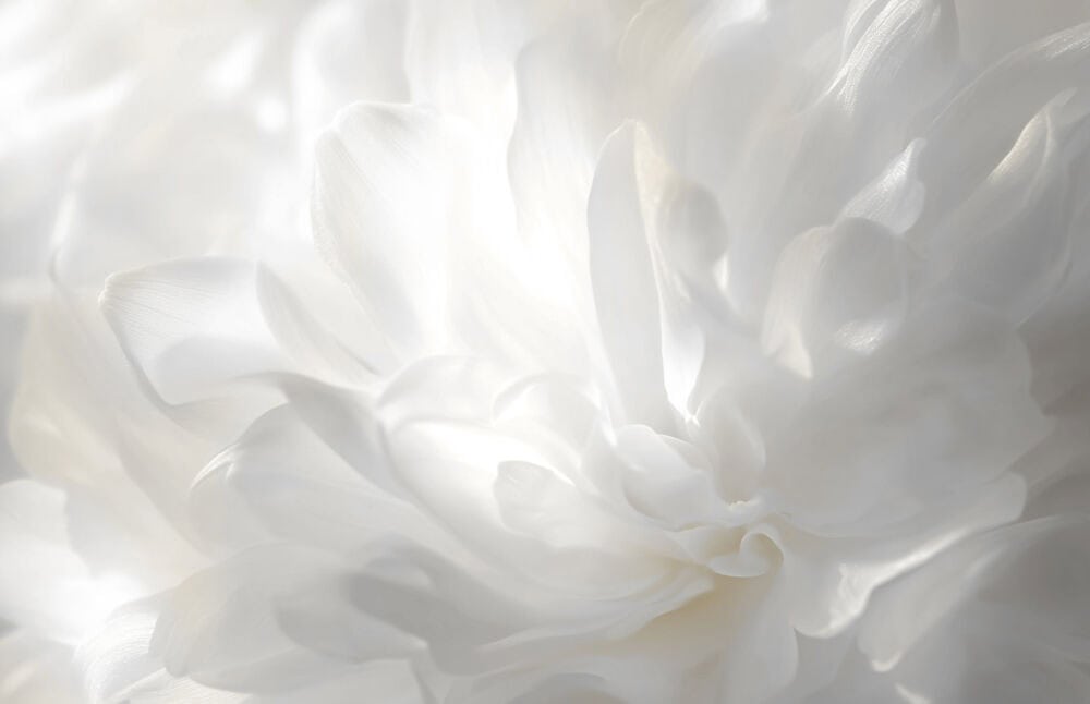 Pantone 2026 metų spalva Cloud Dancer