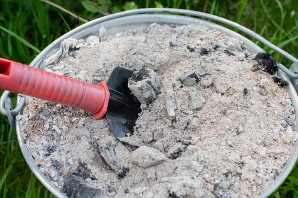 Tręšimas ant sniego: medžio pelenai / Shutterstock