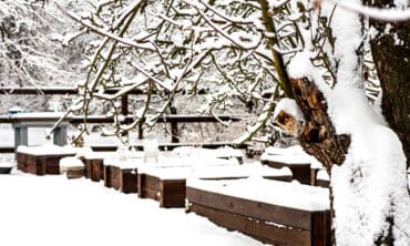 Sniegas darže / Shutterstock