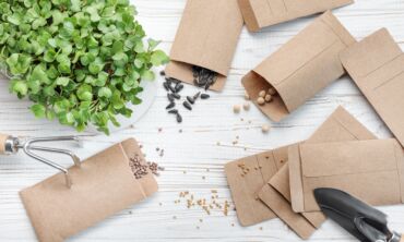 Sėklos / Shutterstock
