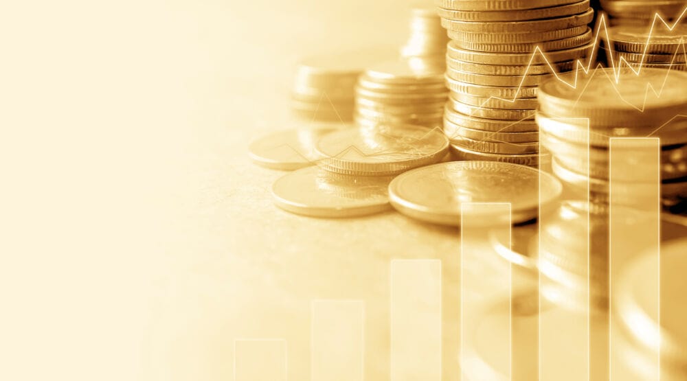 Investavimas / Shutterstock