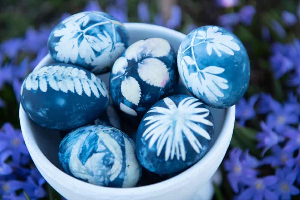 Kiaušinių dažymas kopūstais / Shutterstock