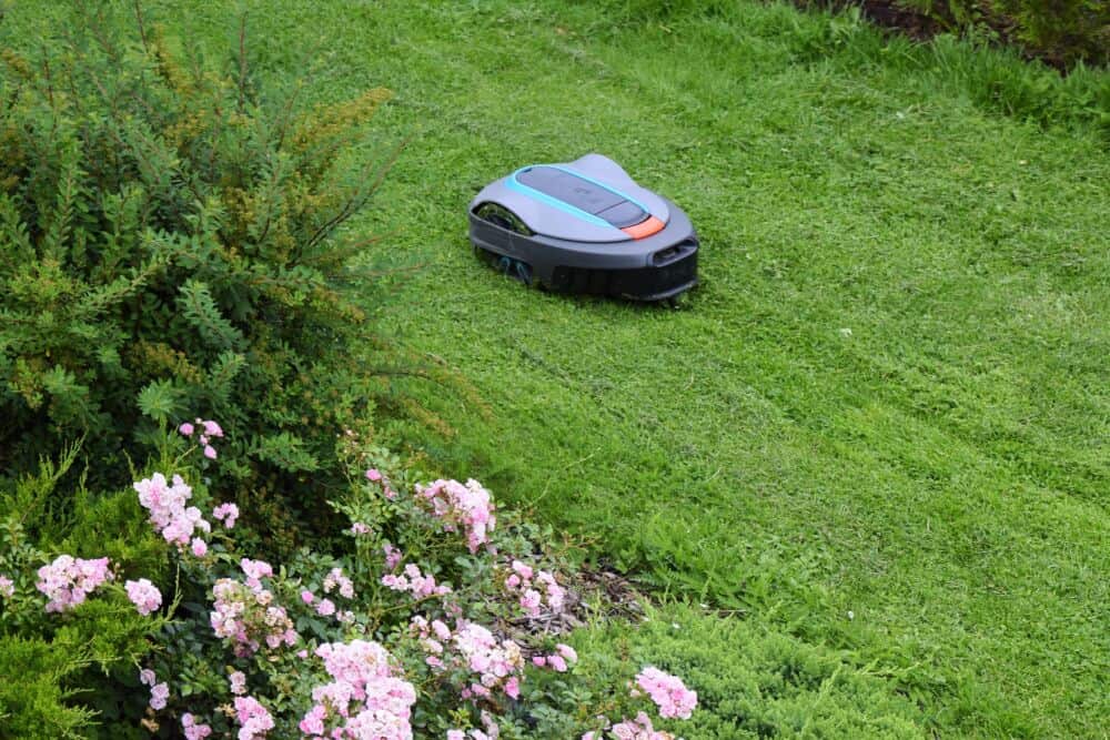 Robotas vejapjovė / Shutterstock
