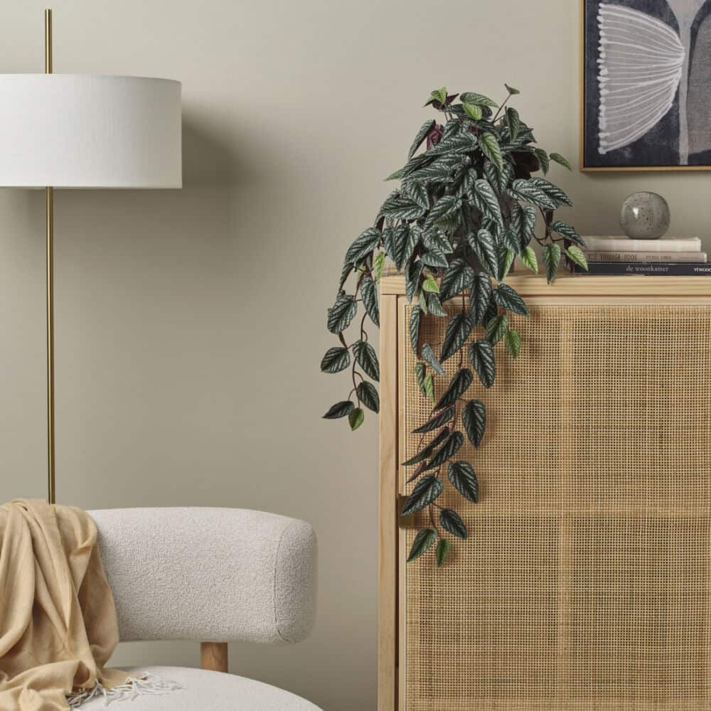 Biofilinis interjeras/ IKEA nuotr.