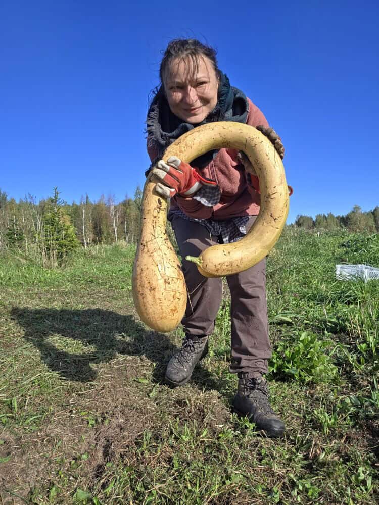 Itališkas moliūgas / Asmeninio albumo nuotr.