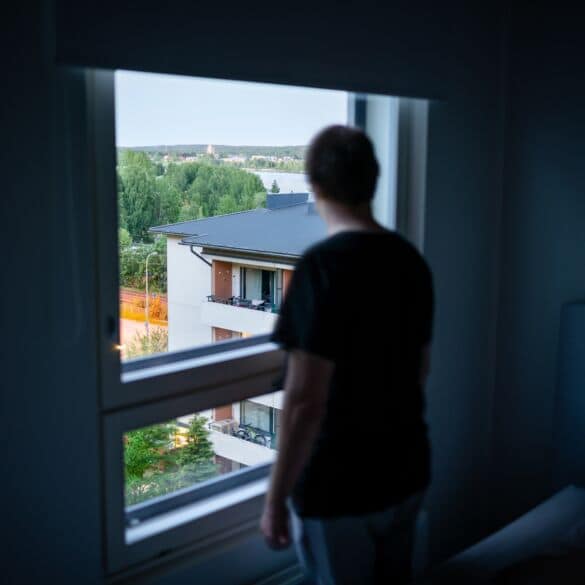 Kaimynų langai
