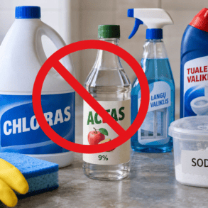 chloras