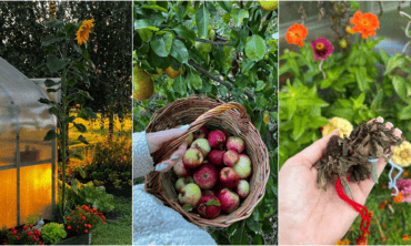 Rudens darbai sode: Astos patarimai